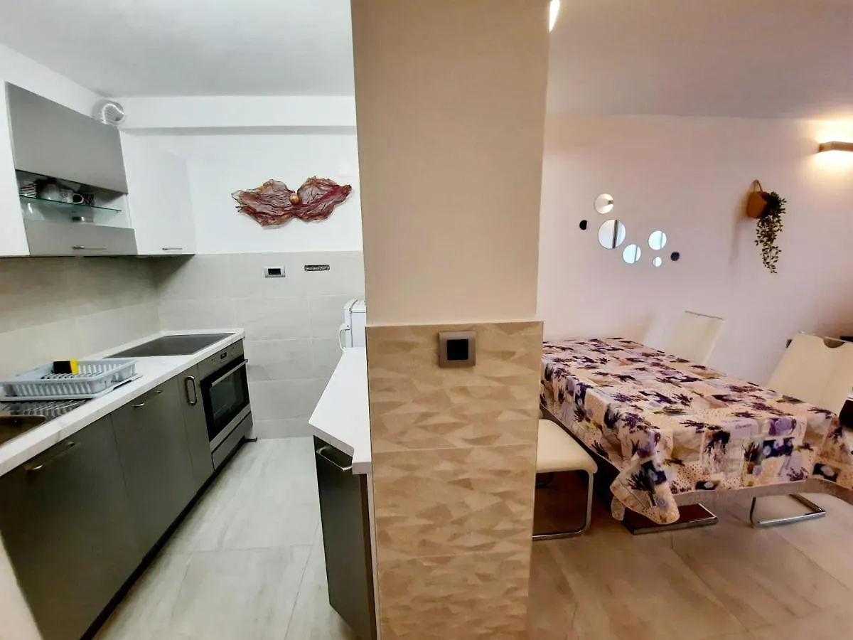 Split Symphony Garden: Modern, New Apartment