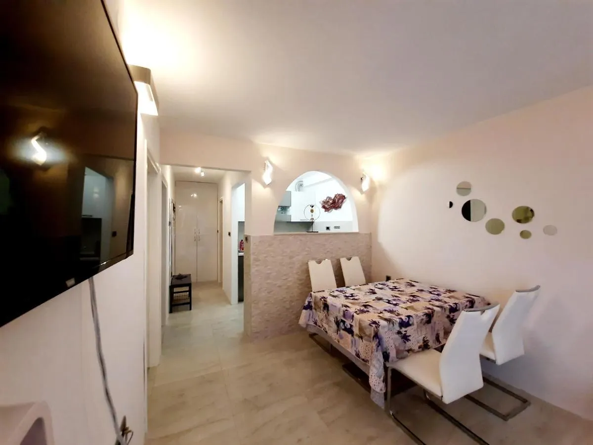Split Symphony Garden: Modern, New Apartment