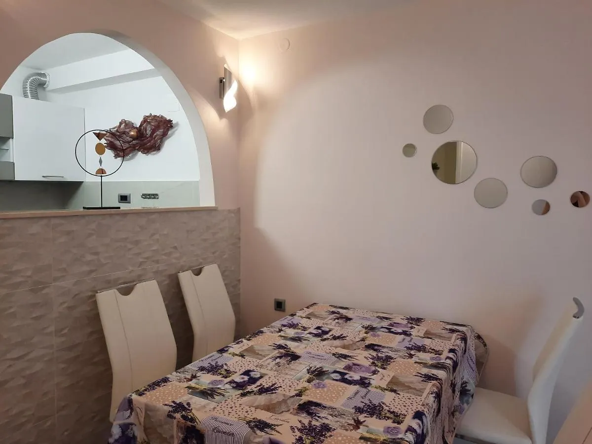 Split Symphony Garden: Modern, New Apartment