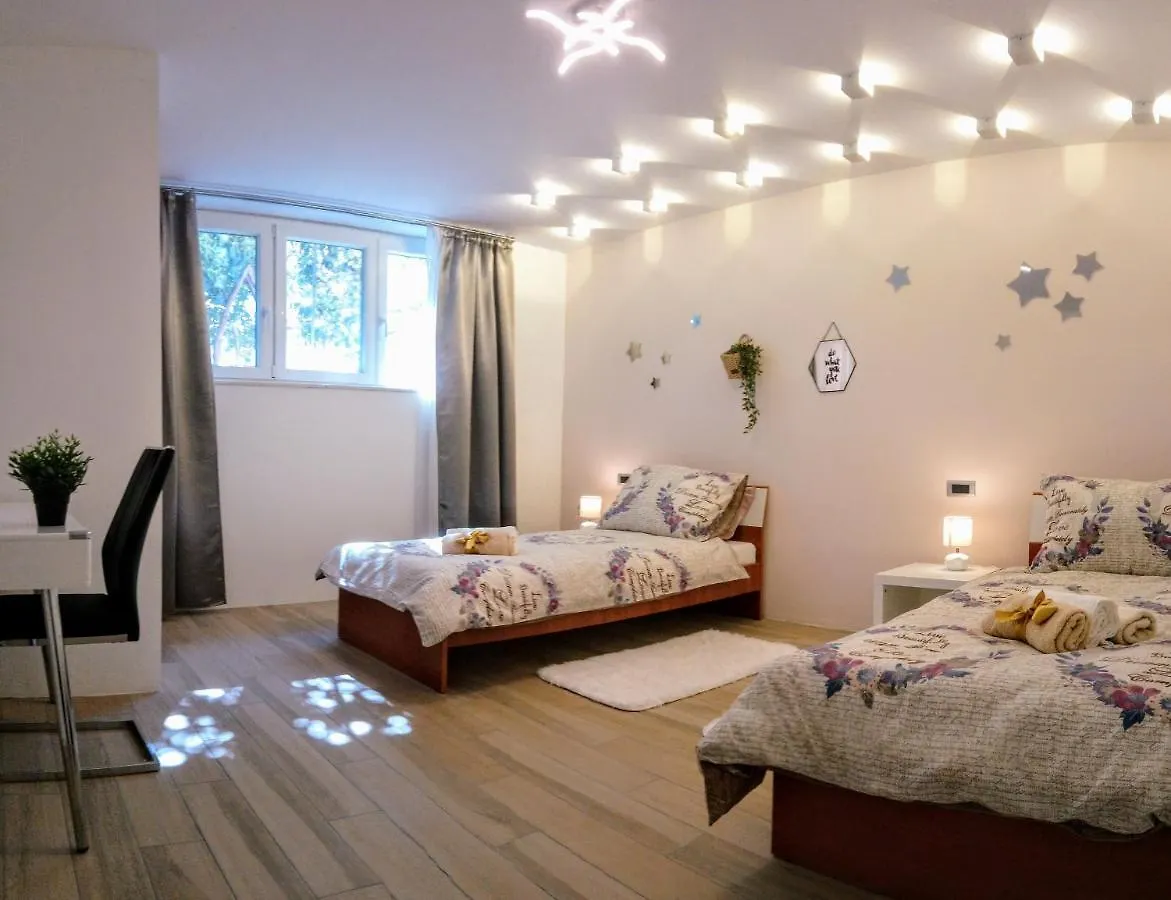 Split Symphony Garden: Modern, New Apartment