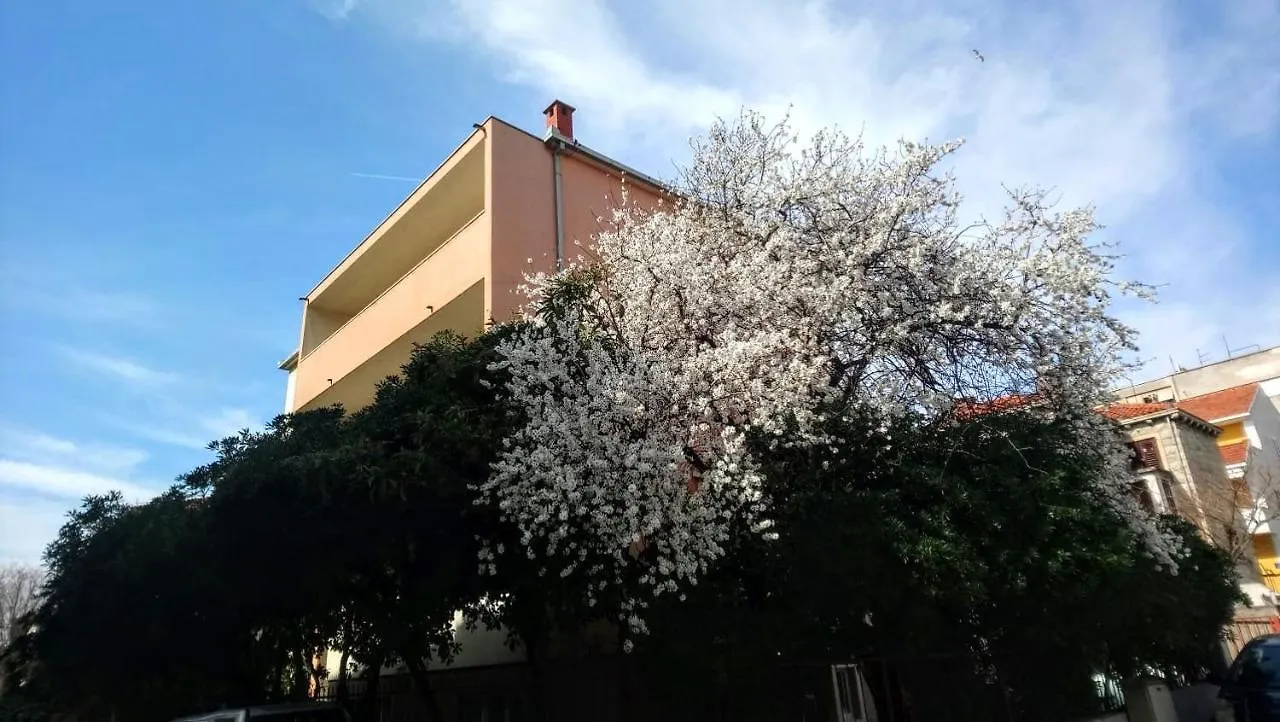Split Symphony Garden: Modern, New Apartment 0*,