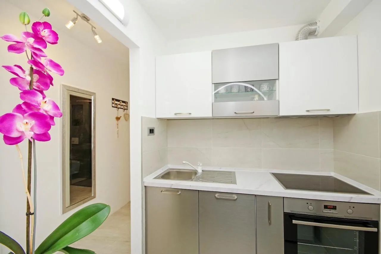 Split Symphony Garden: Modern, New Apartment